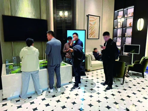 从“圈层门槛”到“价值兑现”,“看得见的品质”成竞争核心力